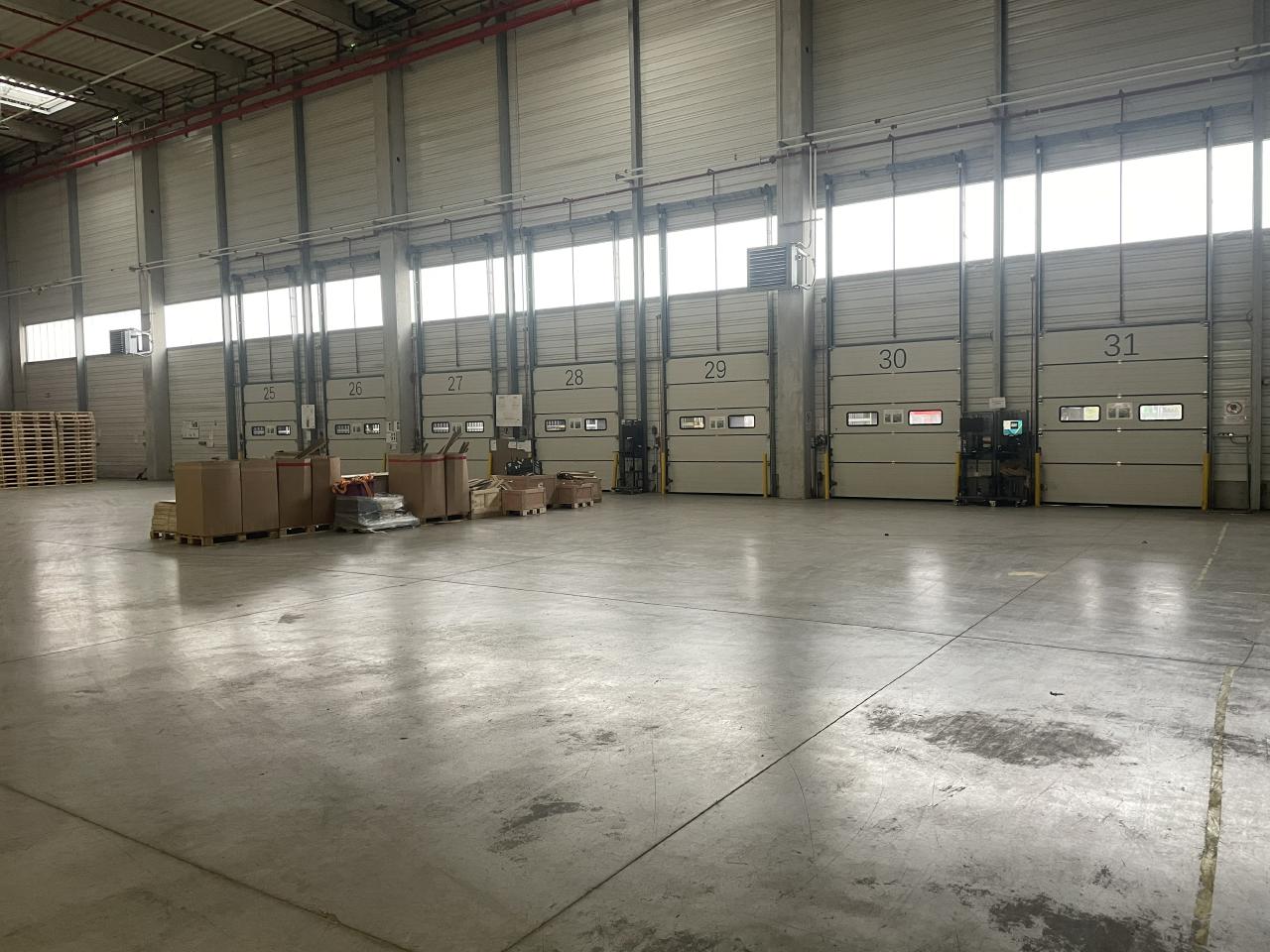 Entrepôt classe a Dourges 12827m² Location entrepôt classe a Dourges Pas-de-Calais OLLOG2418847 6